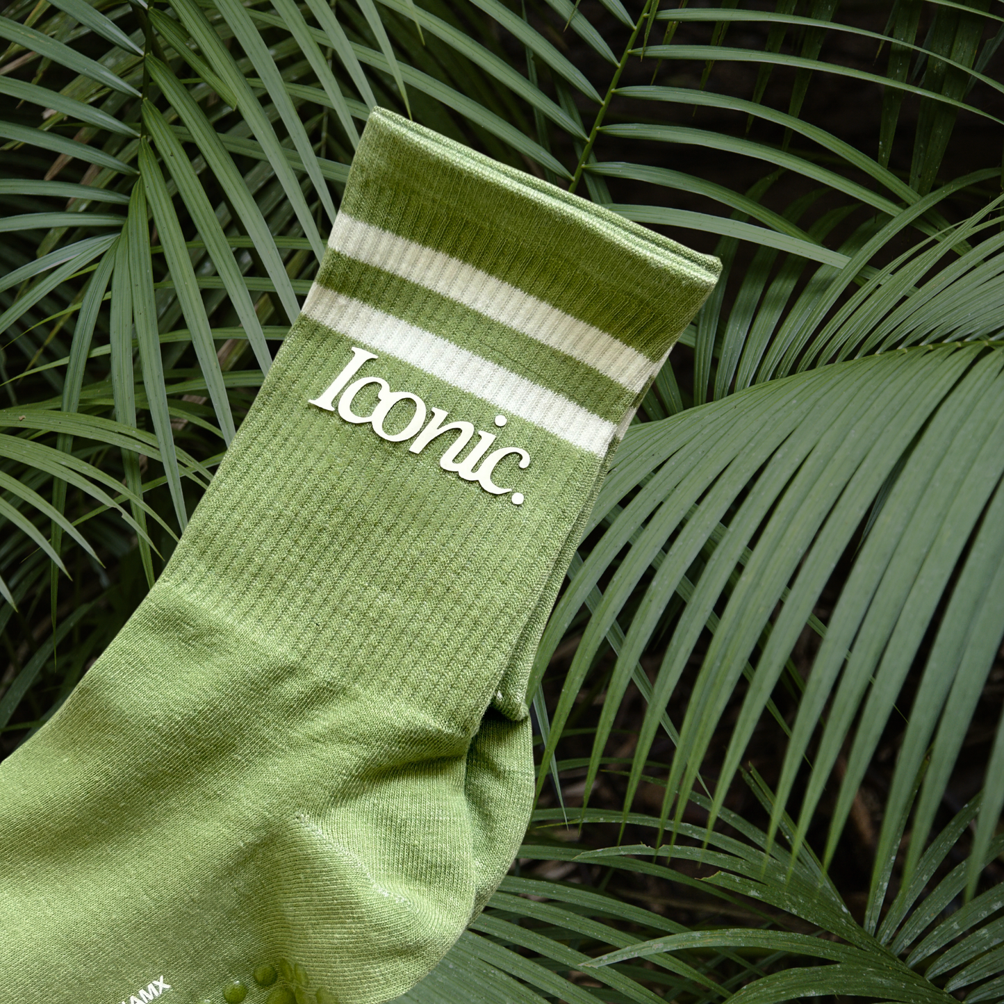 Iconic Socks