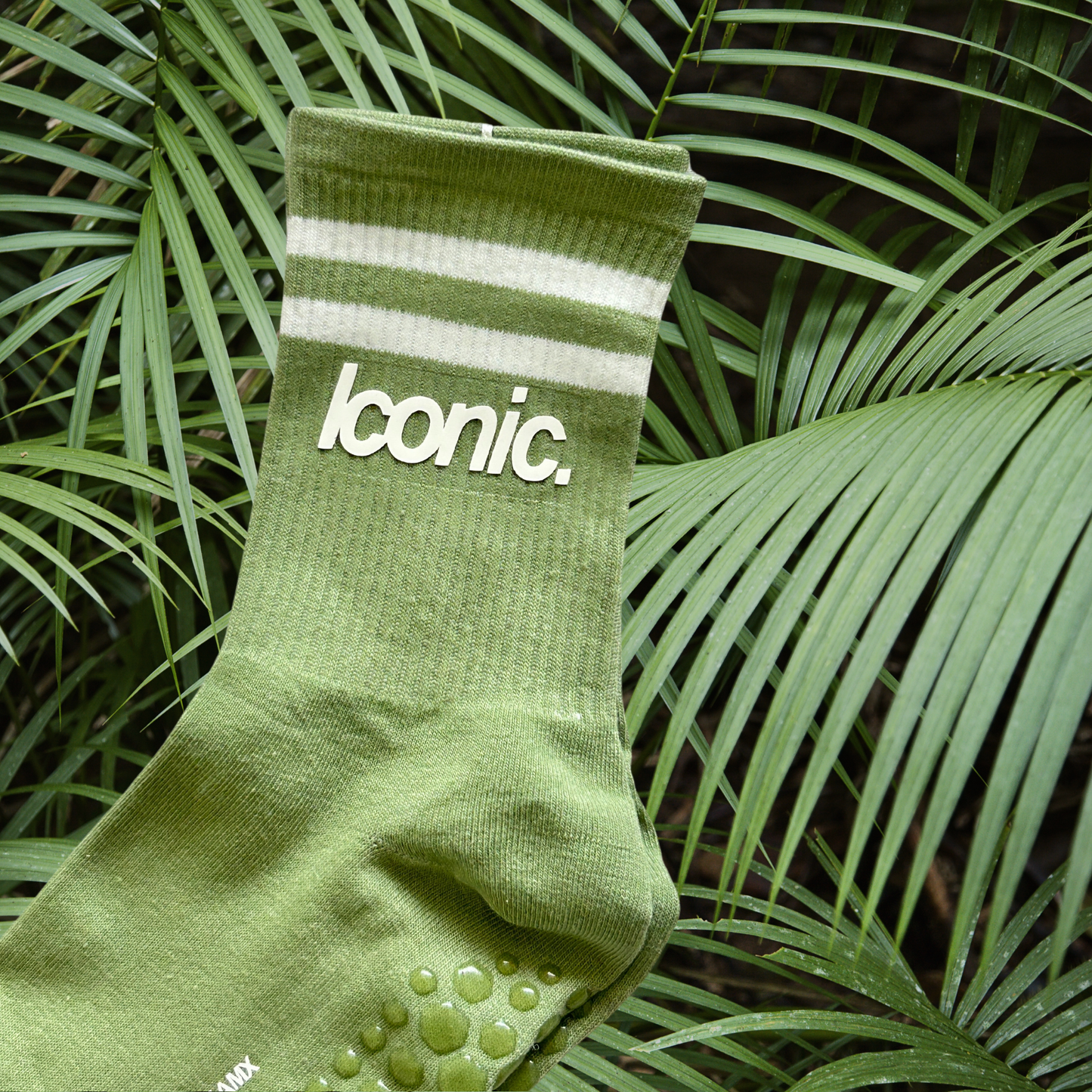 Iconic Socks