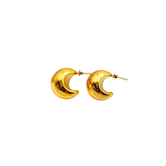 Velvet Round Earrings
